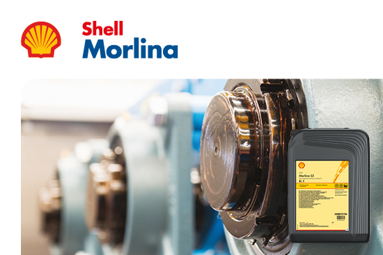 Shell Morlina Shell Morlina
