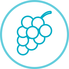 grapes nested in a blue circle