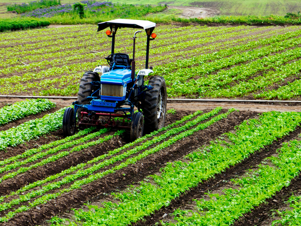 tractor in plantation